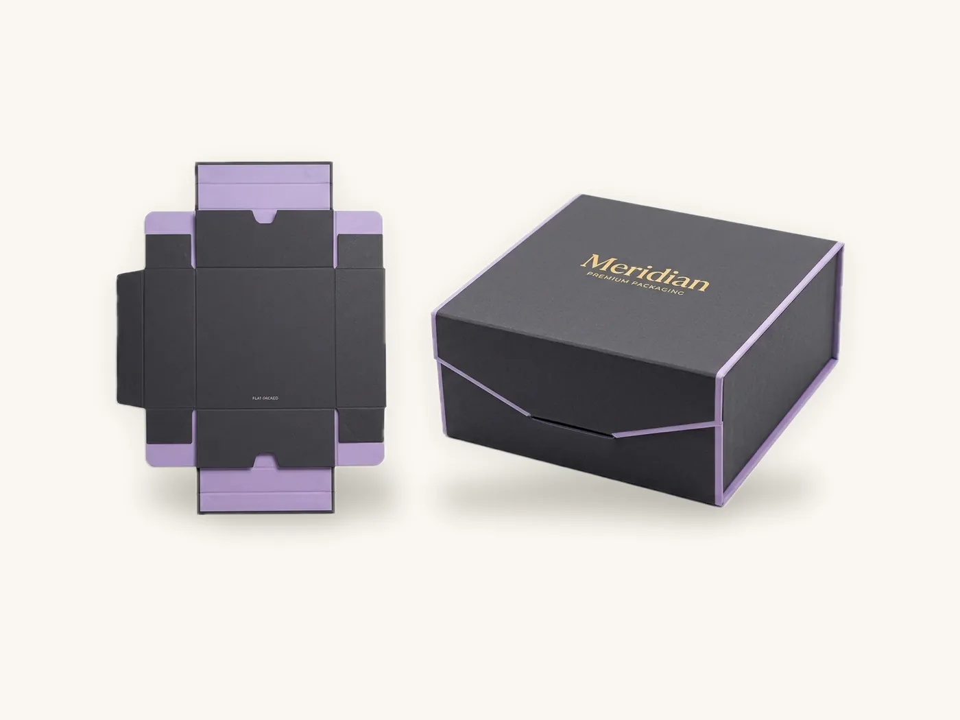 Collapsible Rigid Boxes